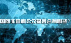 國際非營利公眾基金會有哪些？