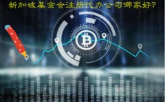 新加坡基金會注冊代辦公司哪家好？