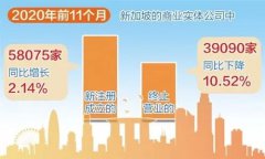 增長！增長！疫情背景下新加坡公司新注冊數量逆勢增長！