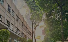 柬埔寨開工廠，難度究竟藏在哪?